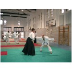 kaiten_nage_soto1.jpg